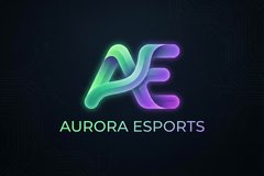 萝莉岛合作品牌极光电竞